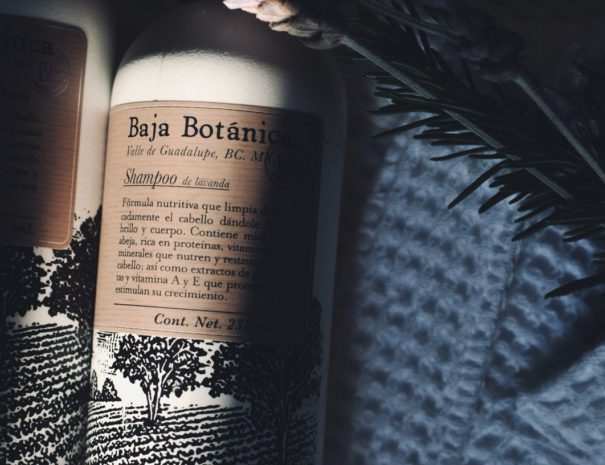 Imagen de WhatsApp 2025-03-25 a las 17.04.14_526d4650