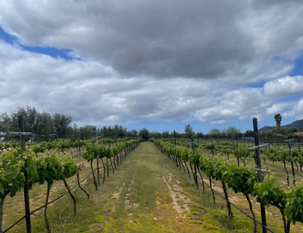 Imagen de WhatsApp 2025-04-18 a las 12.44.28_b301454e