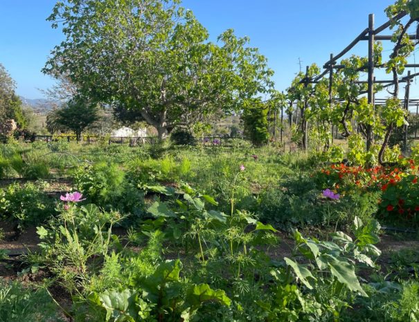 Imagen de WhatsApp 2025-04-21 a las 18.00.41_795b4a5c